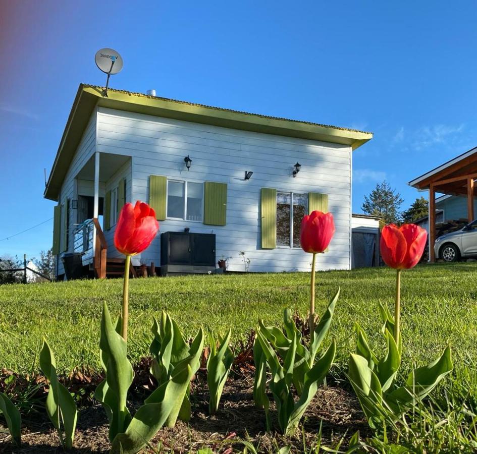 Cabanas Aliwen Villa Ñilque Eksteriør bilde