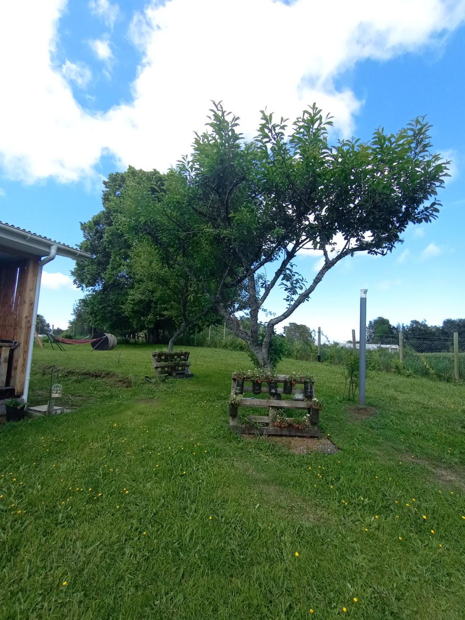Cabanas Aliwen Villa Ñilque Eksteriør bilde